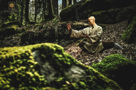 Shaolin Temple Europe - Tai Ji Quan