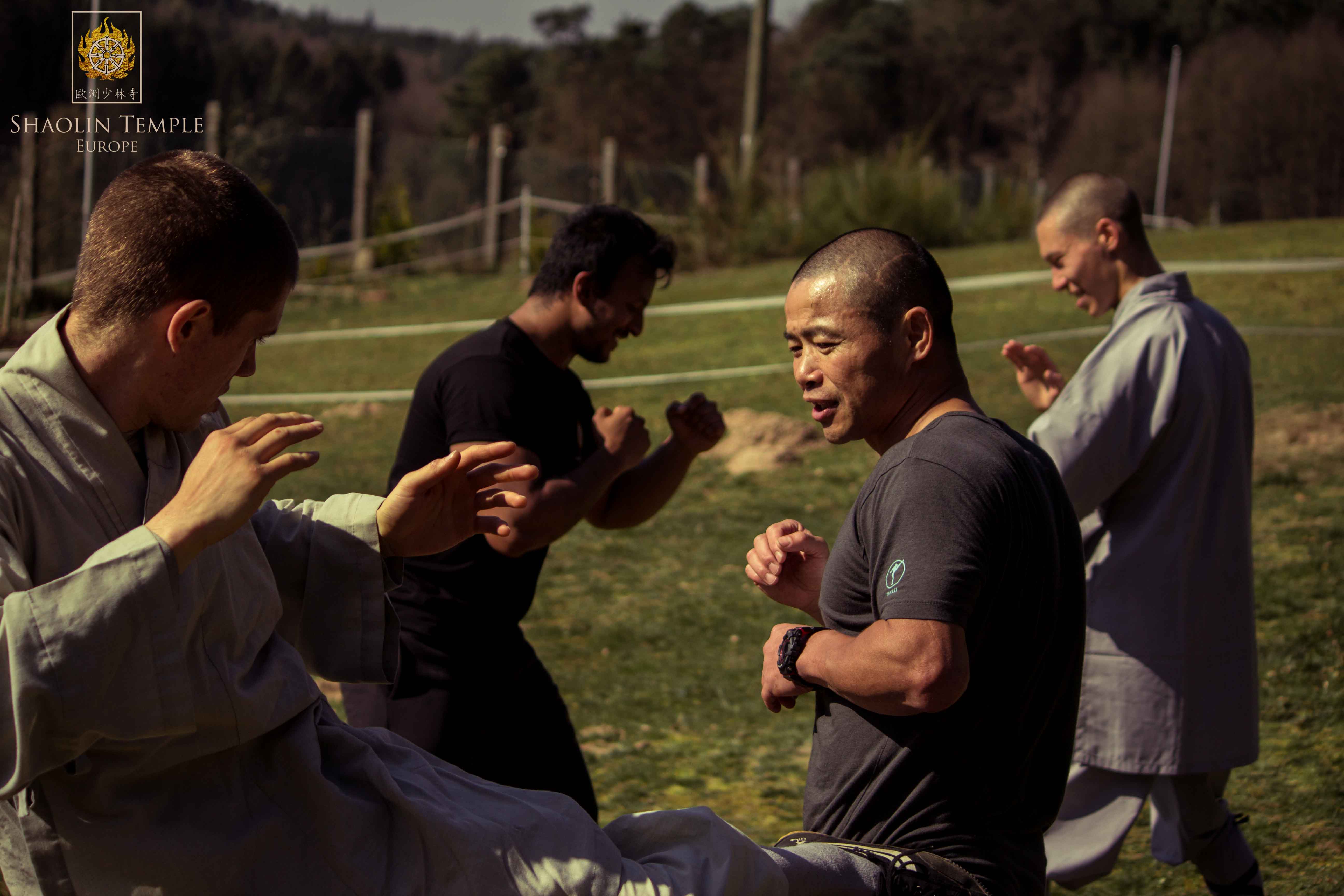 Training with Shifu YanLei